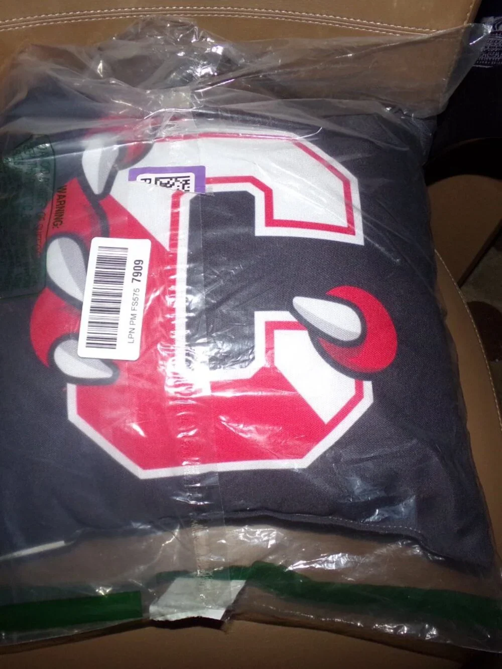 SUNY Cortland Red Dragons C Claw Logo Throw Pillow 16x16 New